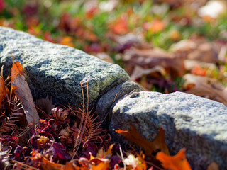 Fall foliage against belgium block stone 