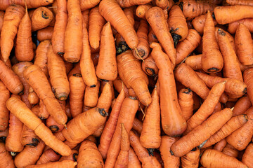 Nature's Detail: A Close-Up on the Textures of Carrot Skin