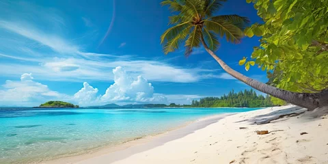 Photo sur Plexiglas Bora Bora, Polynésie française beach with clear sea water, white sand and palm trees