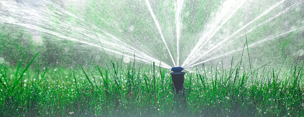Effortless Elegance: Lawn Bliss with Automatic Irrigation