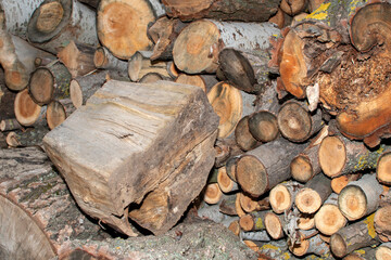 Pile of a stacked logs	
