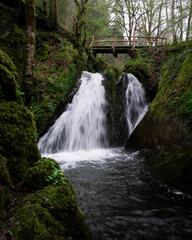 Fototapeta premium waterfall with a bridge over it in a green forest in Germany