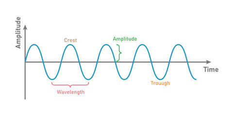 Sinusoidal wave signals. Parts of a wave. Scientific resources for teachers and students. Vector illustration isolated on white background.