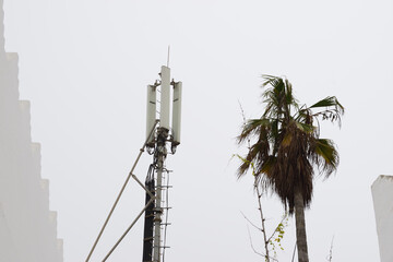 cell phone tower, mobile phone Telecommunication tower beside a palm tree antenna communication...