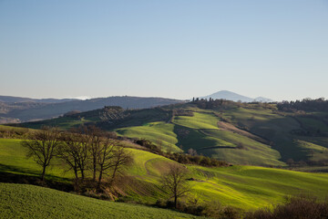Beautiful Tuscany landscape in spring time with wave green hills and isolated trees. Tuscany, Italy, Europe - 683545529