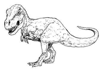 T-rex vector illustration