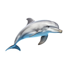 dolphin jumping on transparent background PNG image