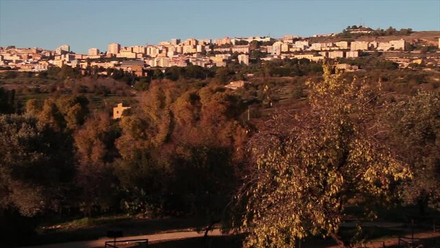agrigento sicily italy buildings homes houses on hill pan left to right medium wide shot in top of frame with a lot of trees in foreground