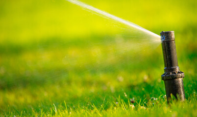 Grassy Ballet: Luxurious Choreography of Lawn Irrigation by the Sprinkler