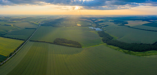 Sunset Embrace: Aerial Serenity Over Green Fields Bathed in the Warmth of Dusk
