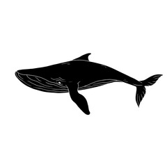 Blue whale aquatic mammal silhouette. Cartoon vector graphics.