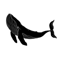 Blue whale aquatic mammal silhouette. Cartoon vector graphics.