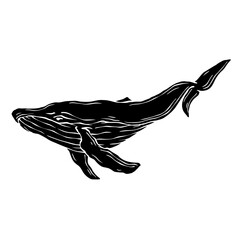 Blue whale aquatic mammal silhouette. Cartoon vector graphics.