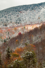 Fall and Winter come together in Pisgah National Forest in North Carolina