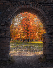 Golden autumn trees illuminated by the sun in the arched opening of the stone wall of the building..