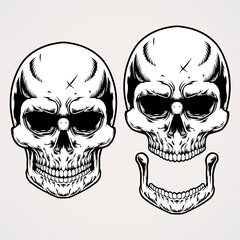 Illustration of a skull with separate parts