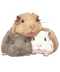 Guinea Pigs Cute Pet