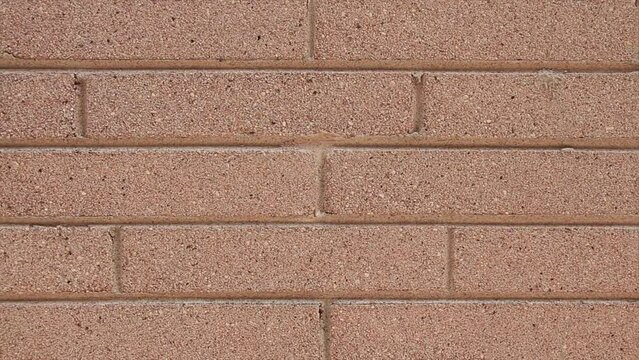 beige color brick wall, long bricks, medium close shot