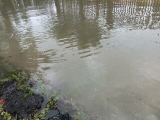 After the rain falls the environment is submerged by flood water.