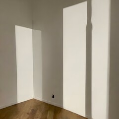 A Shadow In The Corner Of A Room 126808617 (1)