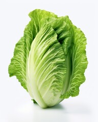 Unveiling the Freshness: Crisp, Green Lettuce Pictured Against a Pure White Background Generative AI