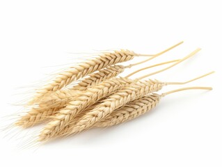Uncover the Pure Beauty of Isolated White Wheat Ears: A Perfect Illustration of Nature's Artistry Generative AI