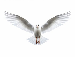 Defying Gravity: Captivating Image of a Wingless Seagull in Flight Over Pristine Backdrop Generative AI