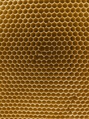 Honeycombs with natural healthy bees wax texture. Closeup of hexagonal bee wax cells structure on...