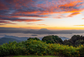 Mountain and sea of fog sunrise surrounded with mountain and forest at Huai Nam Dang National Park. The Spectacular sea of mist and Doi Luang Chiang Dao mt. in Chiang Mai, Thailand