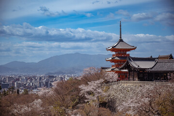 Kyoto's  Kiyomizu Temple in Spring