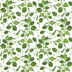 Watercolor illustration pattern of bunches of fresh green hop branch with leaves and cones for use in the brewing industry. Isolated malt. Compositions for posters, cards, banners, flyers, covers, 