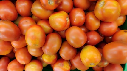 View of a large number of red beautiful and ripe tomatoes. Red tomatoes or Solanum lycopersicum background. Group of tomatoes.