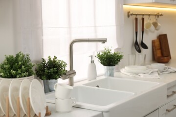 Clean dishes and artificial plants on light countertop near sink in kitchen
