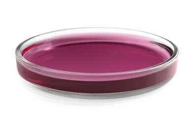 Petri dish with purple liquid isolated on white