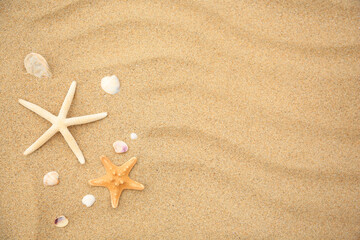 Fototapeta na wymiar Beautiful starfishes and seashells on sand, flat lay. Space for text