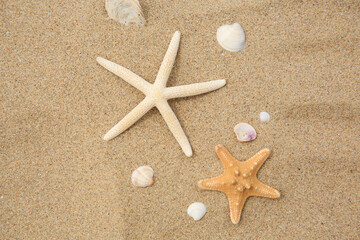 Fototapeta na wymiar Beautiful starfishes and seashells on sand, flat lay