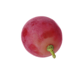 One ripe red grape isolated on white