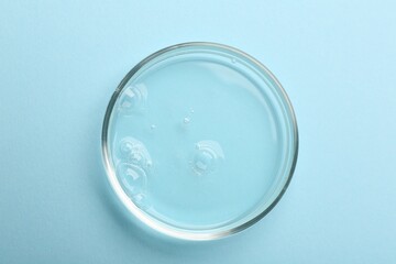 Petri dish with liquid sample on light blue background, top view