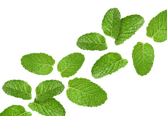 Fresh mint leaves flying on white background