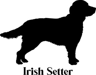 Irish Setter. Dog silhouette dog breeds logo dog monogram logo dog face vector
SVG PNG EPS