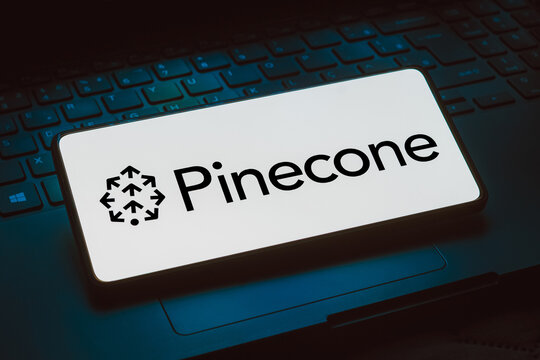 November 24, 2023, Brazil. In this photo illustration, the Pinecone AI logo is displayed on a smartphone screen.
