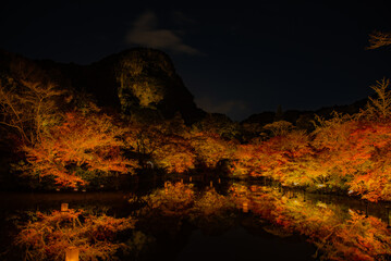 Fototapeta premium 池を囲むライトアップされた紅葉