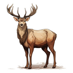 Red deer animal in cartoon style on transparent background, Cervus elaphus Stiker design