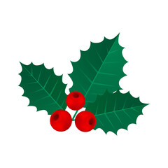 Vector isolated mistletoe design on white background
