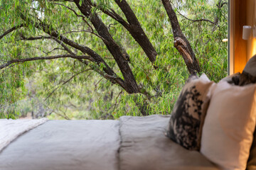 Fototapeta premium Off grid sustainable tiny cabin hidden in the forest