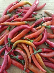Chili peppers, also spelled chile or chilli, are varieties of the berry fruit of plants from the genus Capsicum, which are members of the nightshade family Solanaceae, cultivated for their pungency.