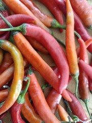 Chili peppers, also spelled chile or chilli, are varieties of the berry fruit of plants from the genus Capsicum, which are members of the nightshade family Solanaceae, cultivated for their pungency.
