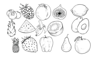 tropical fruits handdrawn illustration engraving