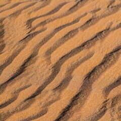 Sand texture dunes desert pattern waves background close up beach tide ripples
