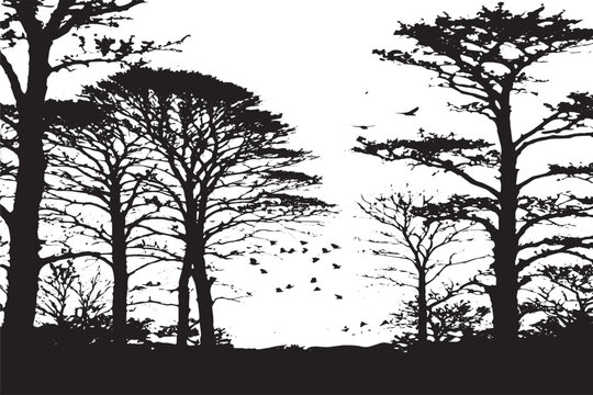 birds and trees black texture, vector illustration 